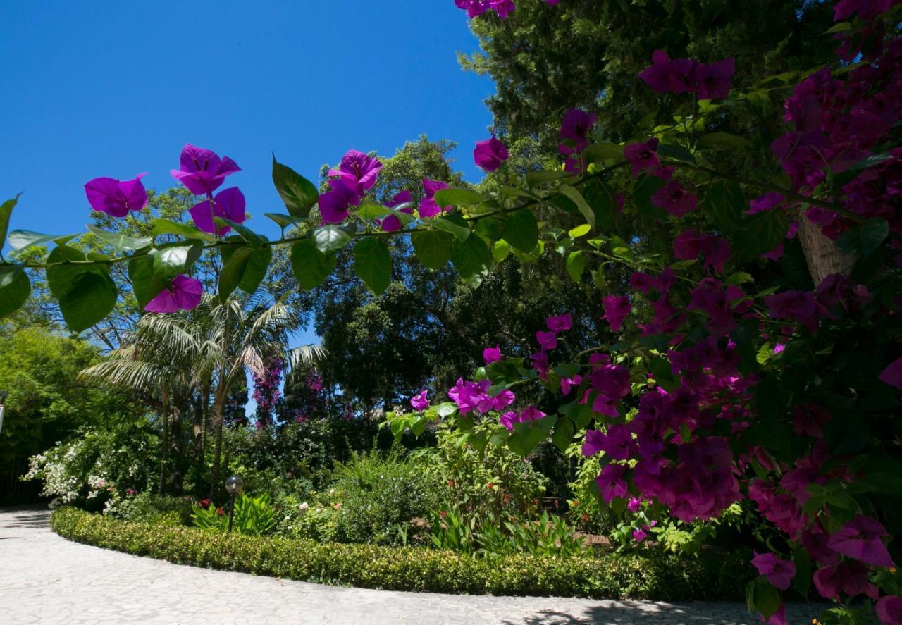 تراباني Villa Pampalone - B&B In Dimora Storica المظهر الخارجي الصورة