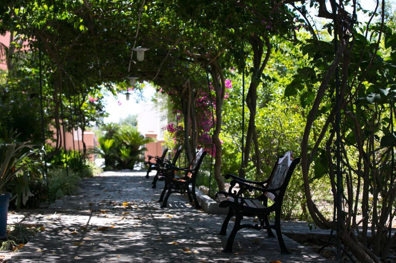 تراباني Villa Pampalone - B&B In Dimora Storica المظهر الخارجي الصورة