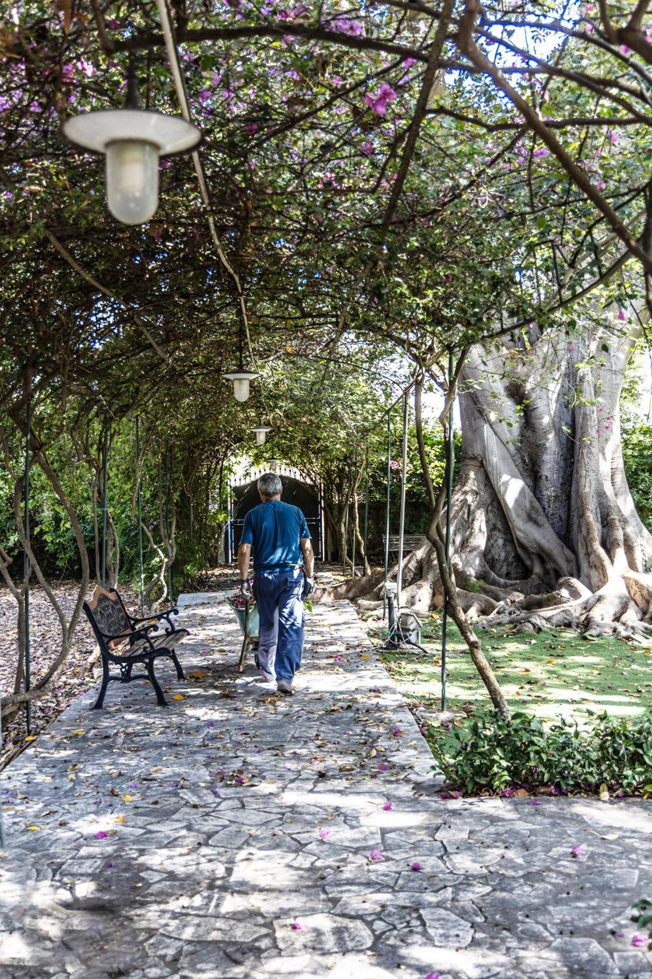 تراباني Villa Pampalone - B&B In Dimora Storica المظهر الخارجي الصورة
